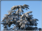 foto Parco Sebellin in Inverno